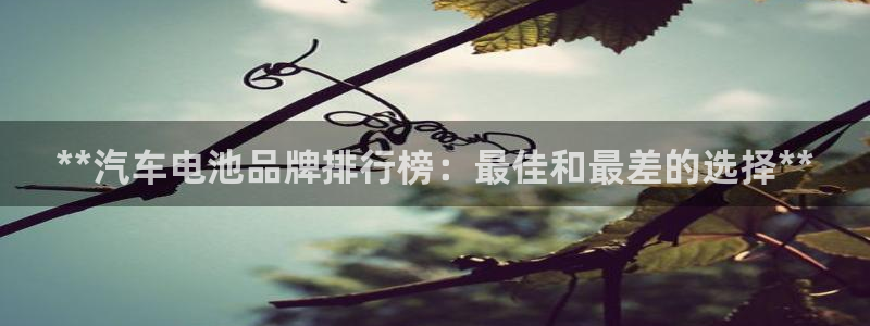 优发国际线上娱官网