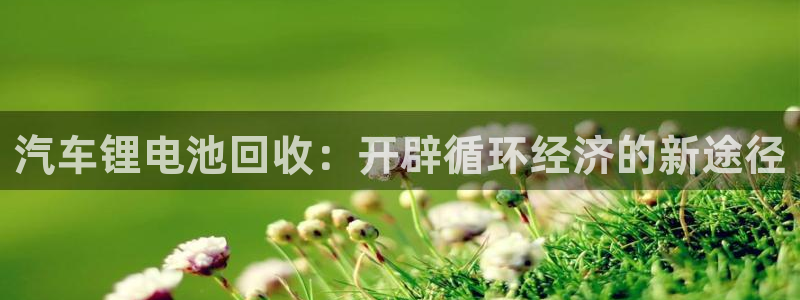 优发国际不出款怎么办