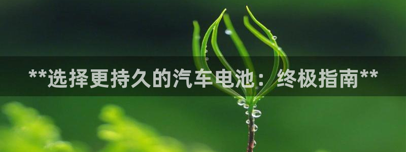 优发国际手机版网站入口