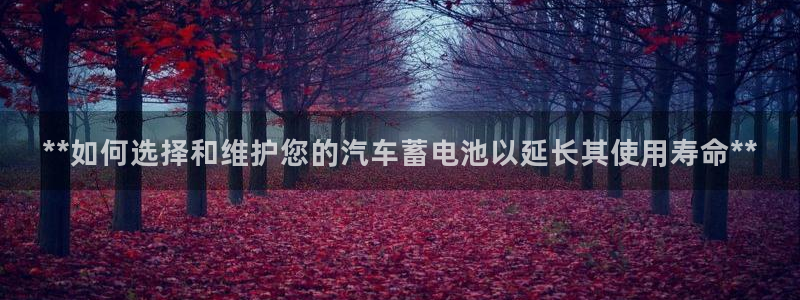 优发国际官网手机版入口