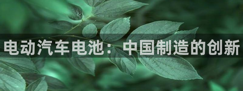 优发国际首页官网