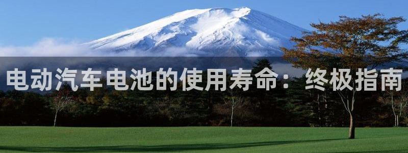 优发国际安卓版下载安装