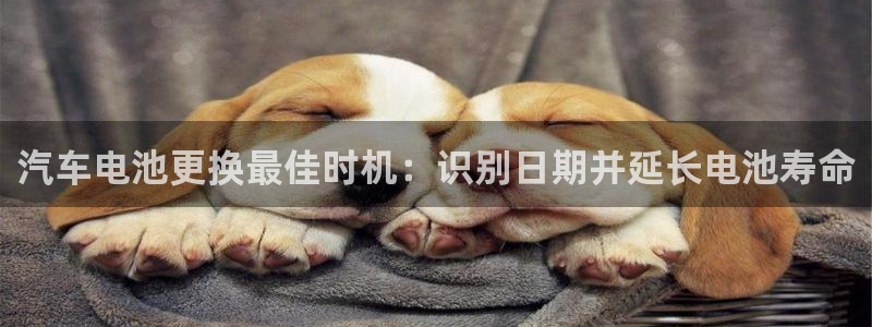 优发国际安卓版下载安装