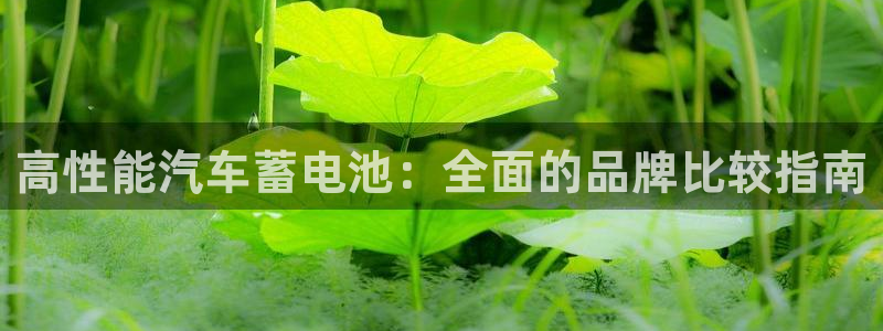 优发国际集团股份有限公司招聘