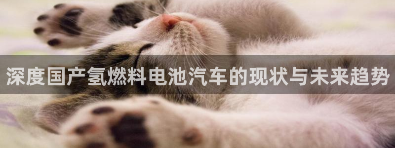优发国际游戏官方网站入口