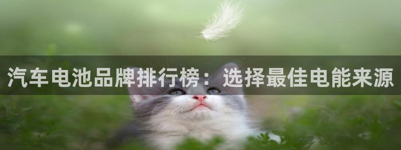 优发国际的官网是什么
