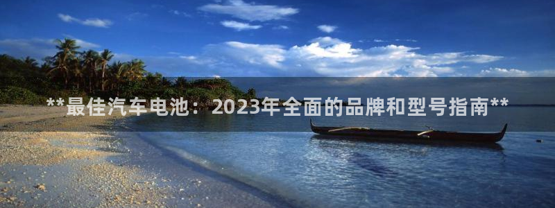 优发国际手机登录下载安装：**最佳汽车电池：2023年全面的品牌和型号指南**