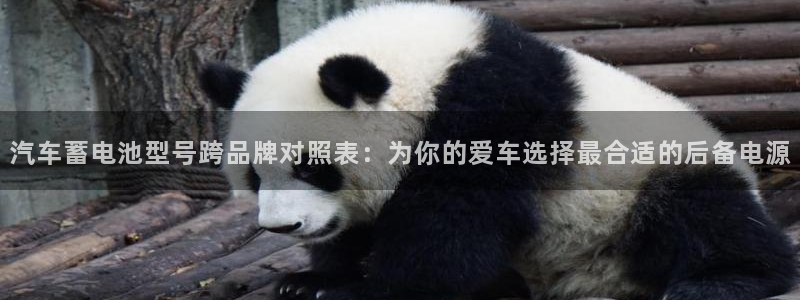 优发国际官方网手机版