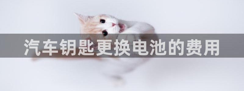 优发国际官网首页入口