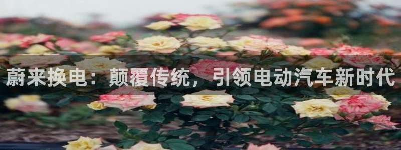 优发国际不出款了吗