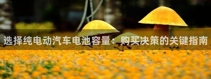 优发国际客服联系方式电话