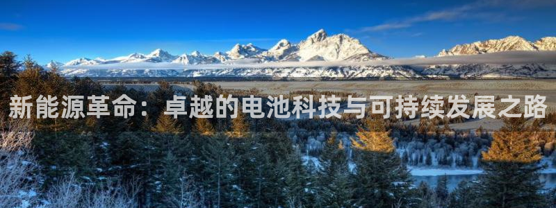 优发国际网官网17w8：新能源革命：卓越的电池科技与可持续发展之路