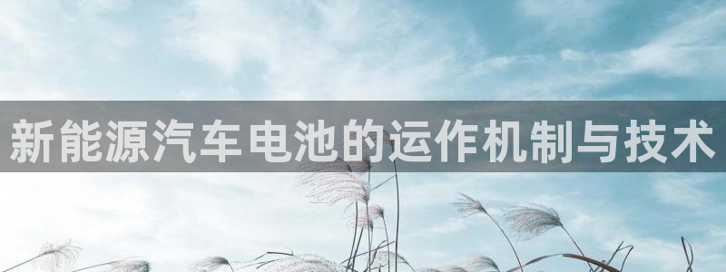 优发国际首页首页登录：新能源汽车电池的运作机制与技术