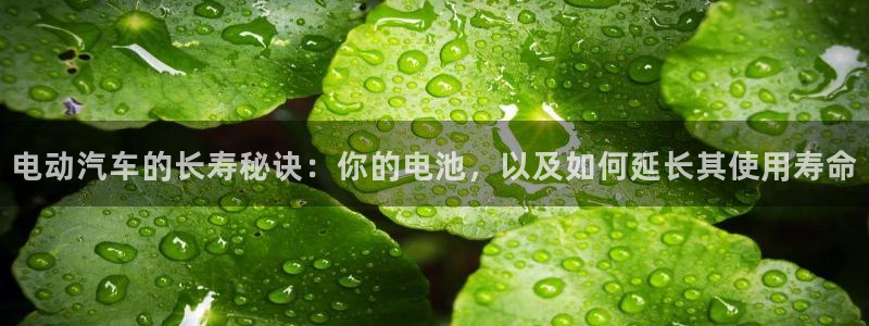 优发国际官网下载安装