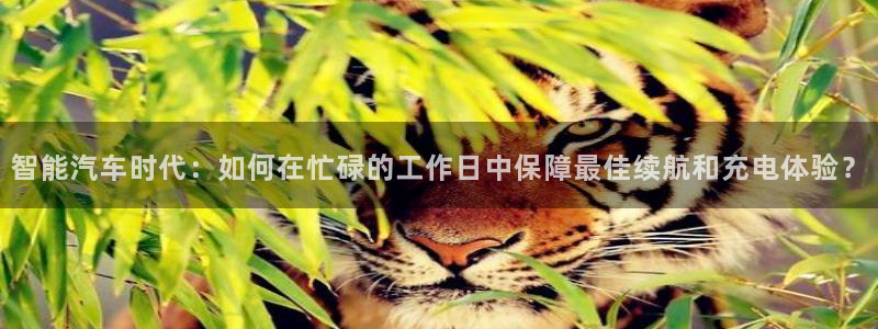 优发娱乐国际线上