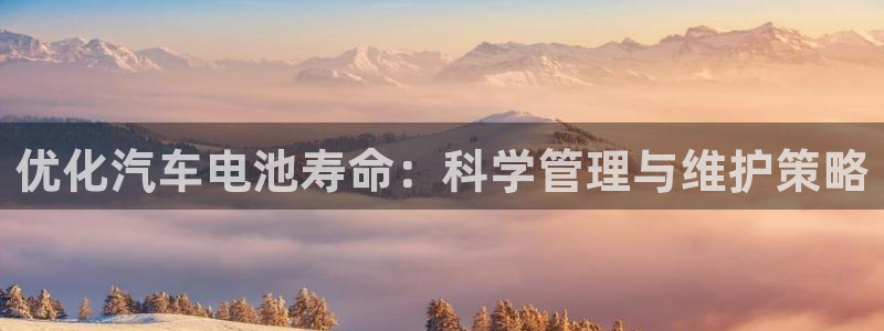 优发国际多少钱