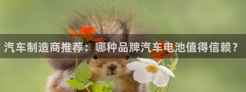 优发国际登陆：汽车制造商推荐：哪种品牌汽车电池值得信赖？