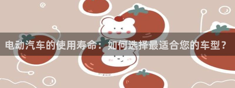 优发国际平台u8是什么软件：电动汽车的使用寿命：如何选择最适合您的车型？