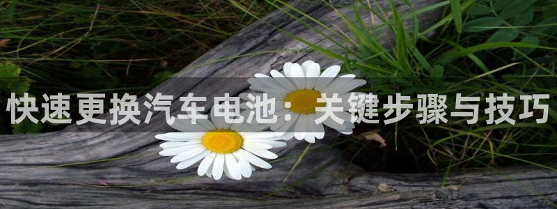 优发国际官网是多少号码：快速更换汽车电池：关键步骤与技巧