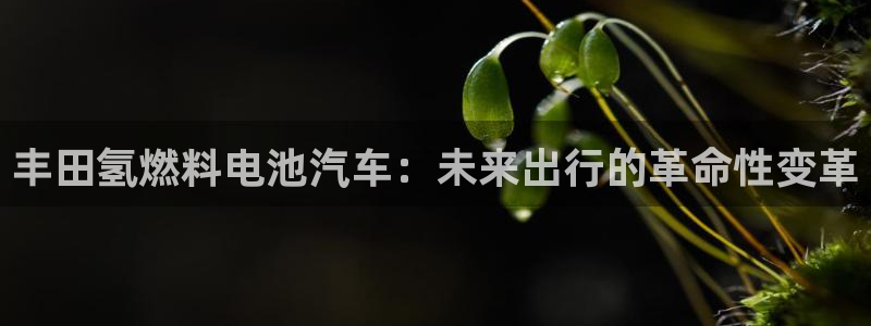 优发娱乐pc版官网：丰田氢燃料电池汽车：未来出行的革命性变革