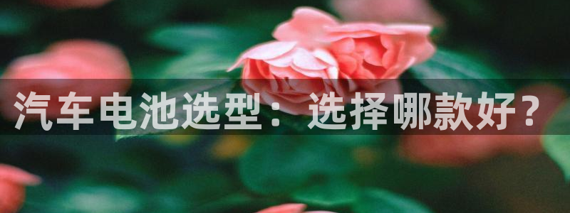 优发国际官网下载：汽车电池选型：选择哪款好？