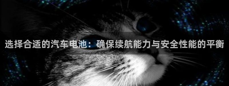 优发国际怎么样：选择合适的汽车电池：确保续航能力与安全性能的平衡