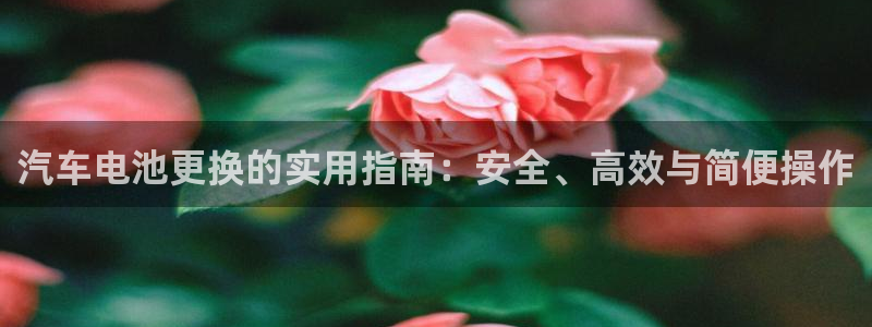 优发国际注册平台：汽车电池更换的实用指南：安全、高效与简便操作