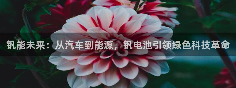 优发国际官网官方网址：钒能未来：从汽车到能源，钒电池引领绿色科技革命