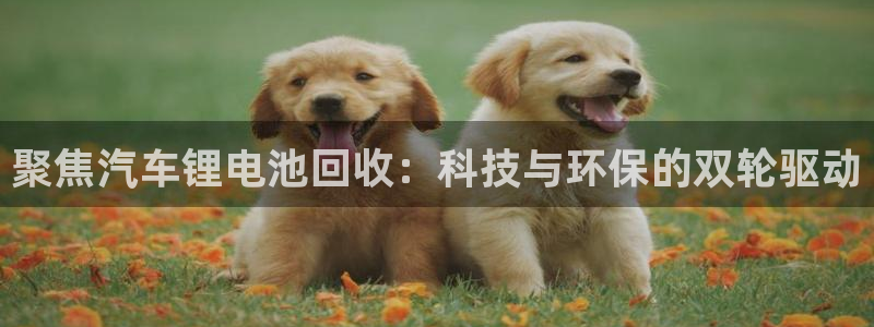优发国际官网手机号：聚焦汽车锂电池回收：科技与环保的双轮驱动