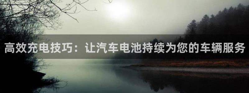 优发国际手机版客户端：高效充电技巧：让汽车电池持续为您的车辆服务