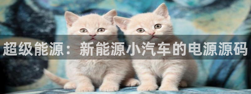 优发国际多少