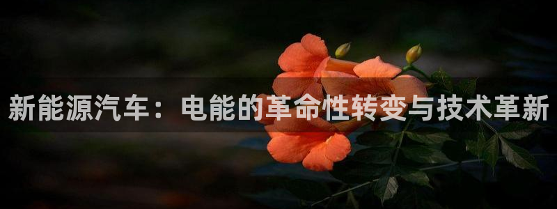 优发国际官方网手机版app：新能源汽车：电能的革命性转变与技术革新