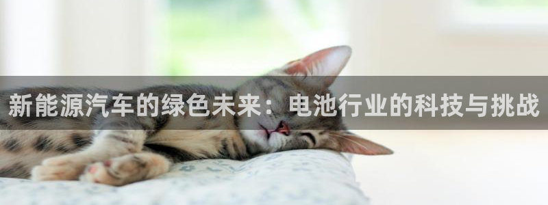优发国际网官网17q8：新能源汽车的绿色未来：电池行业的科技与挑战