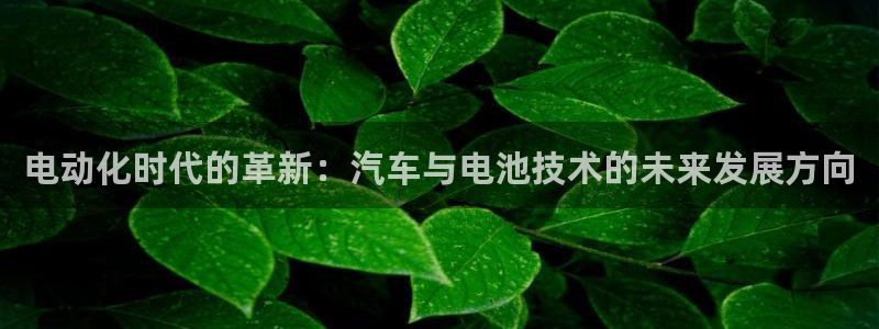 优发国际官网：电动化时代的革新：汽车与电池技术的未来发展方向