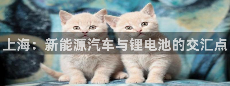 优发国际是不是黑网