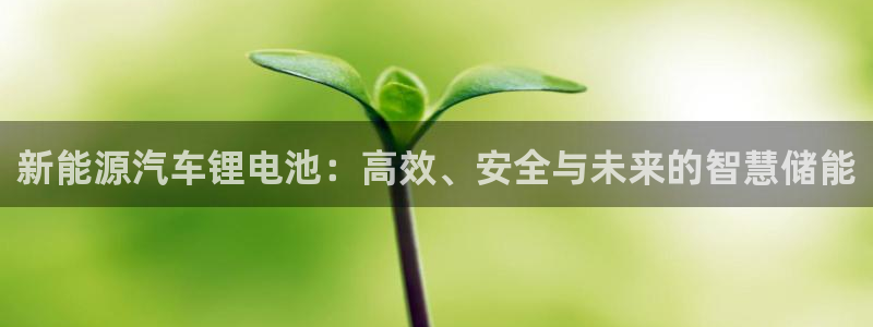 优发国际官网入口app下载：新能源汽车锂电池：高效、安全与未来的智慧储能