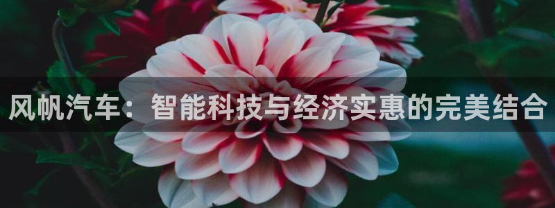 优发国际不出款了吗：风帆汽车：智能科技与经济实惠的完美结合