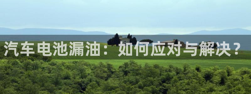 优发国际网站：汽车电池漏油：如何应对与解