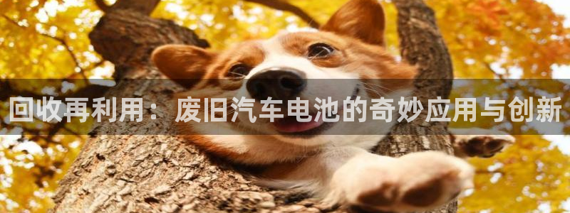 优发国际的官网是什么软件