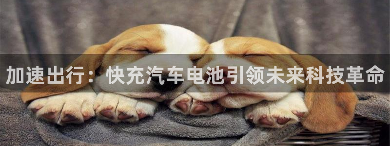 优发国际youfa966