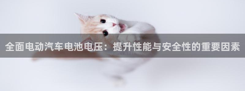 优发国际官网首页：全面电动汽车电池电压：