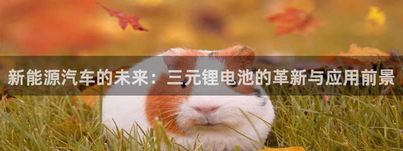 优发国际网官网17w8