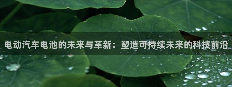 优发国际多少钱