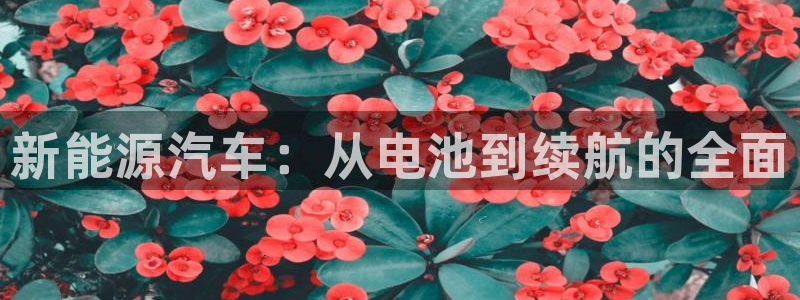 优发国际平台app下载苹果版