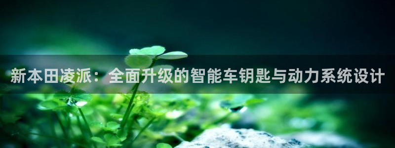 优发国际手机版客户端