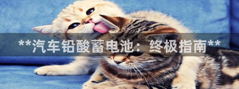 优发国际是大平台吗知乎